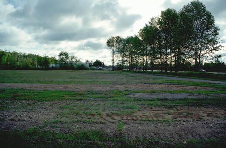 Tri-City Drive-In Theatre - The Lot Now